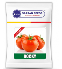 Tomato Sarpan Rocky (White Shoulder) 10 grams